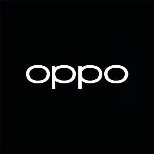 Oppo Reparatie Leudal